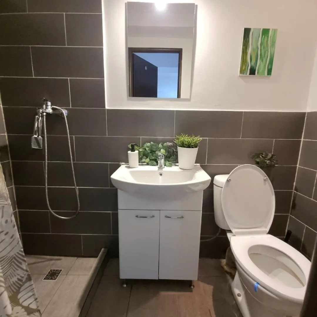 Studio Central Exer Bucarest Appartamento