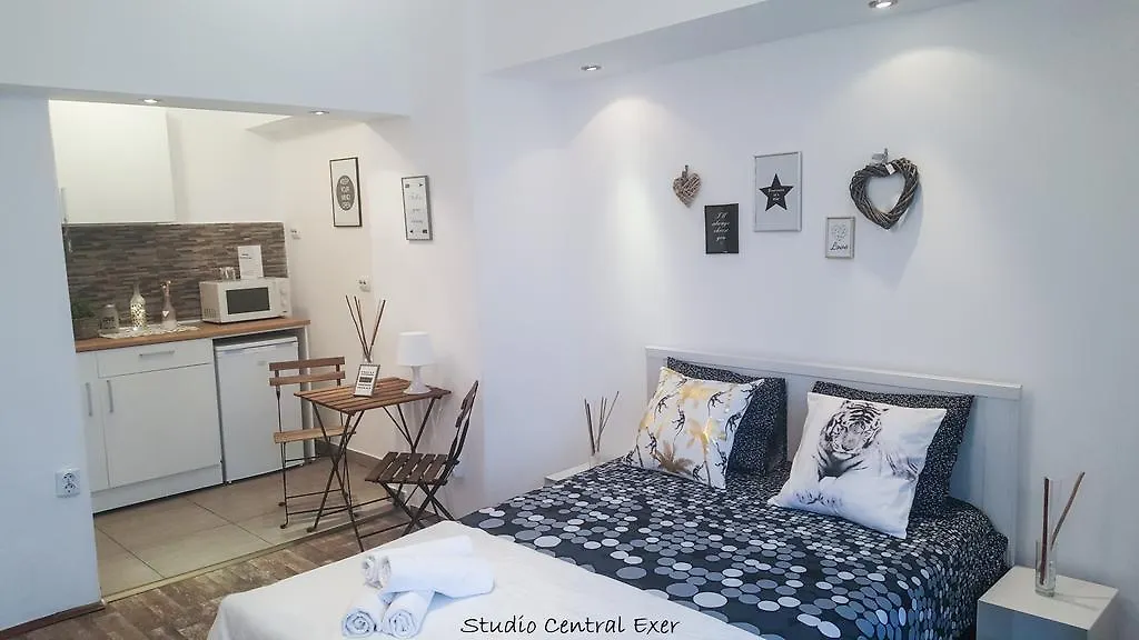 Studio Central Exer Bucarest Appartamento